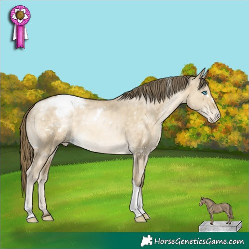 Horse Color:White Spotted Buckskin Pearl Dun Tobiano Appaloosa 