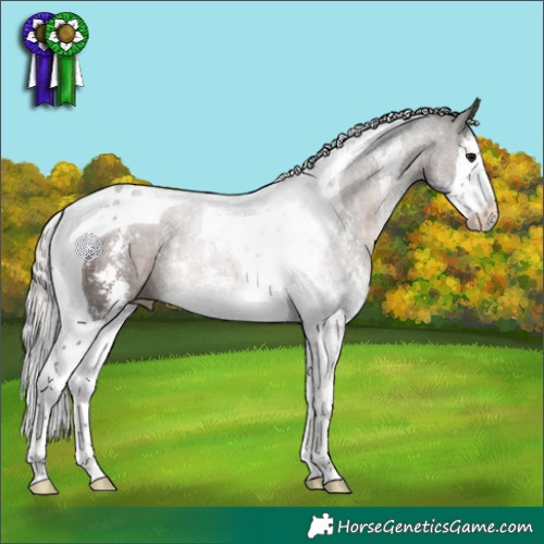 Horse Color:Silver Black Sabino Splash Tobiano Rabicano 
