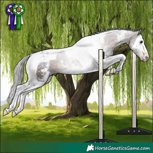 Horse Color:Silver Black Sabino Splash Tobiano Rabicano 