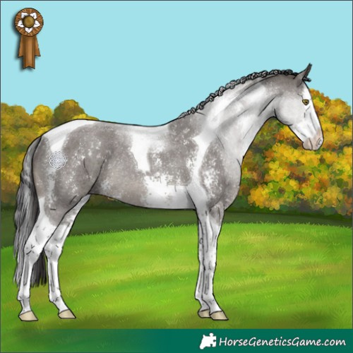 Horse Color:Smoky Grullo Sabino Splash Tobiano Rabicano
