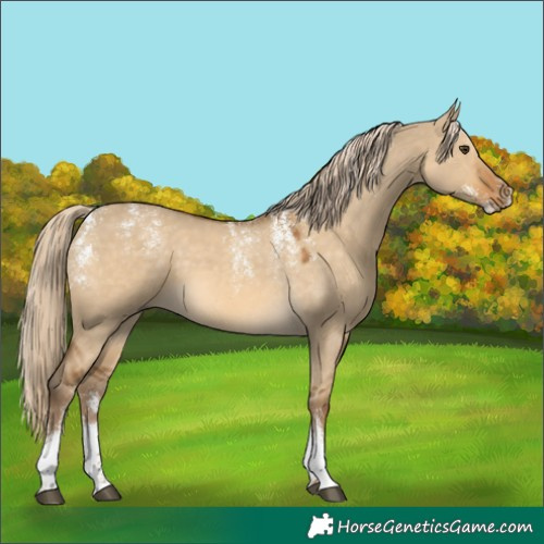 Horse Color:Powder White Chocolate Palomino Dun 