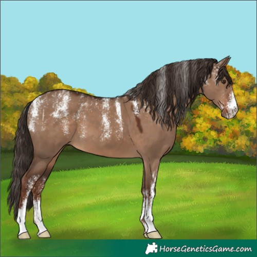 Horse Color:Powder White Liver Red Dun 