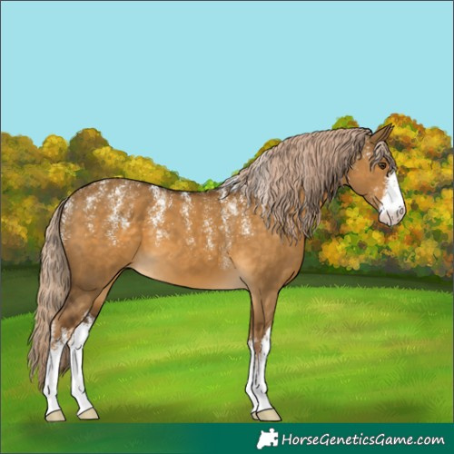 Horse Color:Powder White White Spotted Chocolate Palomino Dun