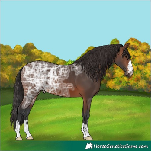 Horse Color:Brown Ice