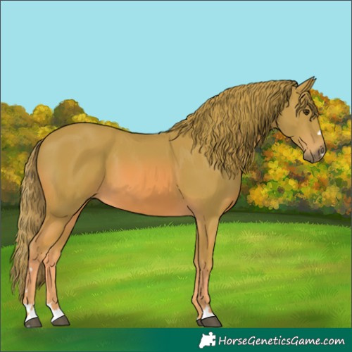 Horse Color:Watercolor Chestnut 
