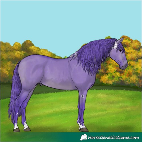 Horse Color:Watercolor Bay Dun