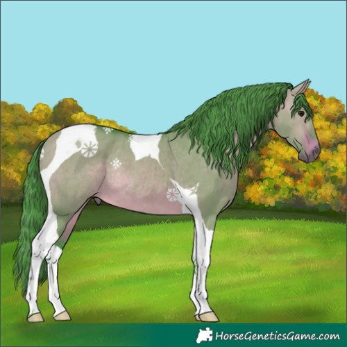 Horse Color:Watercolor Bay Dun Tobiano Rabicano 