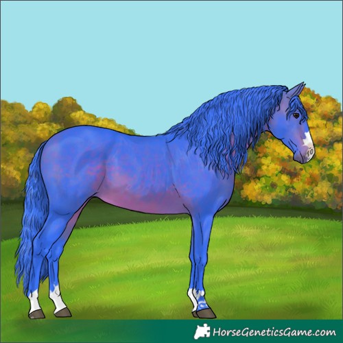 Horse Color:Watercolor Bay 