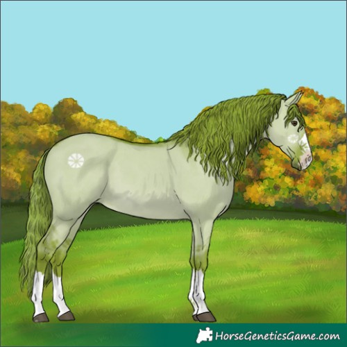 Horse Color:Watercolor Red Dun 