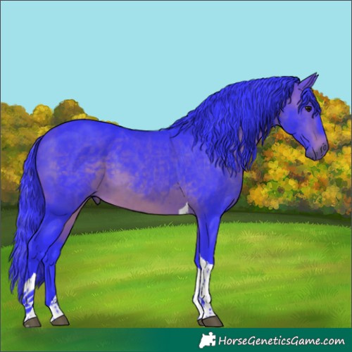 Horse Color:Watercolor Brown Tobiano 