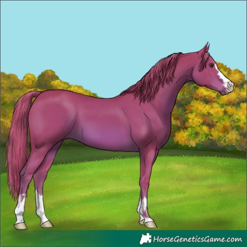 Horse Color:Watercolor Chestnut