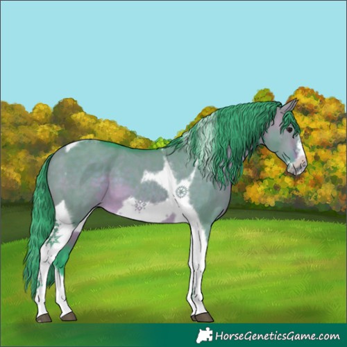 Horse Color:Watercolor Brown Dun Tobiano Frame 