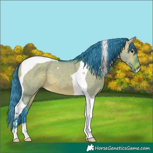 Horse Color:Watercolor Bay Dun Tobiano 