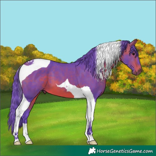 Horse Color:Watercolor Bay Tobiano 