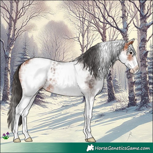 Horse Color:White Spotted Bay Ice 