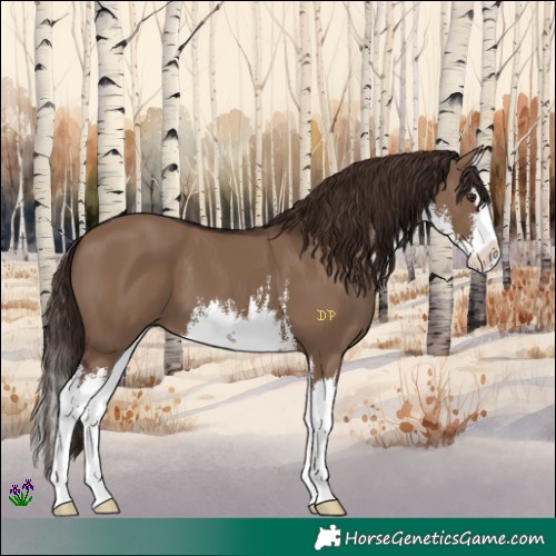 Horse Color:White Spotted Liver Red Dun Splash 