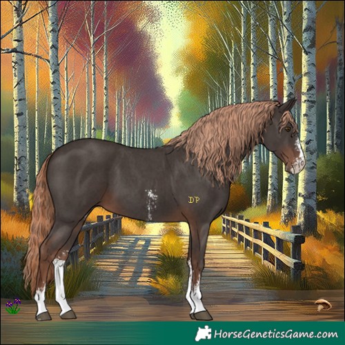 Horse Color:Liver Chestnut Sabino