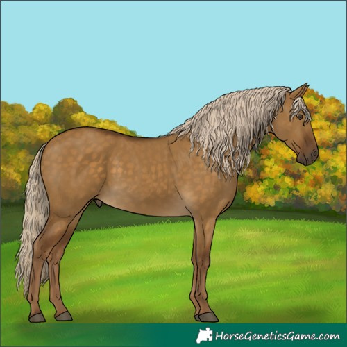 Horse Color:Chocolate Palomino Dun Rabicano 