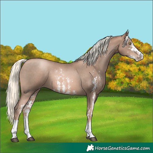 Horse Color:Liver Chestnut Pearl Mushroom Sabino 