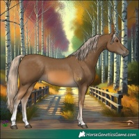 Horse Color:Chocolate Palomino Sabino