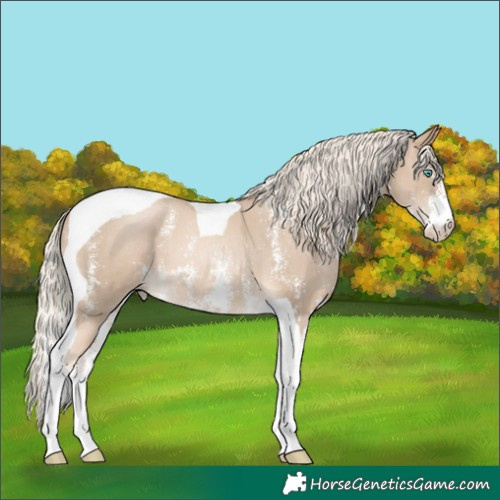 Horse Color:Chocolate Palomino Pearl Sabino Tobiano 