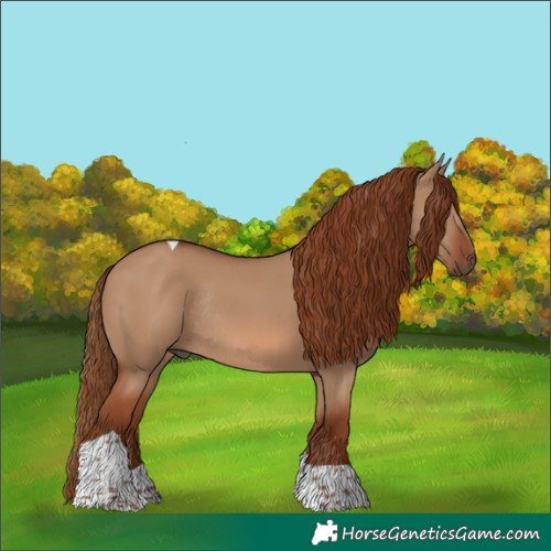 Horse Color:Red Dun Tobiano Rabicano 