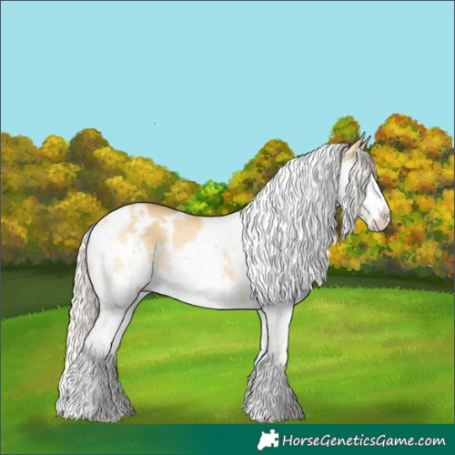 Horse Color:White Spotted Palomino Dun Splash Tobiano Rabicano