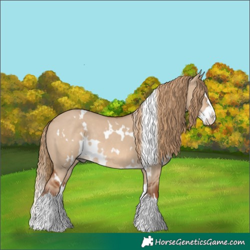 Horse Color:White Spotted Red Dun Splash Rabicano 
