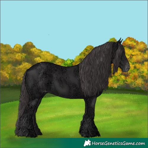 Horse Color:Smoky Black Ice Appaloosa Rabicano