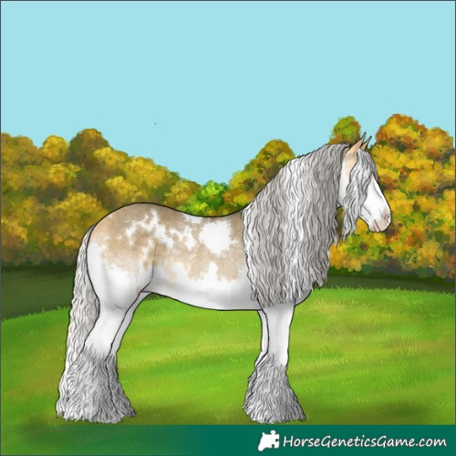 Horse Color:White Spotted Silver Buckskin Dun Splash Rabicano