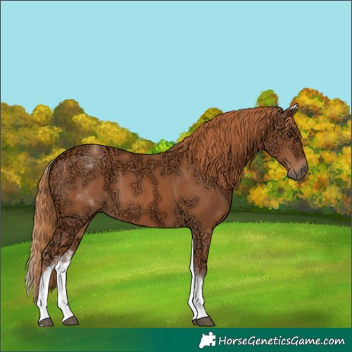 Horse Color:White Spotted Chestnut Ice 