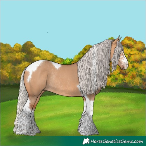 Horse Color:Silver Bay Dun Sabino Tobiano Rabicano