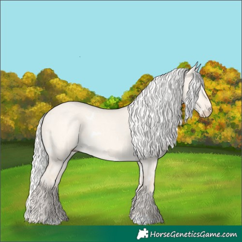 Horse Color:White Spotted Silver Perlino Dun Rabicano 