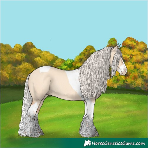 Horse Color:Silver Amber Champagne Dun Splash Tobiano Rabicano