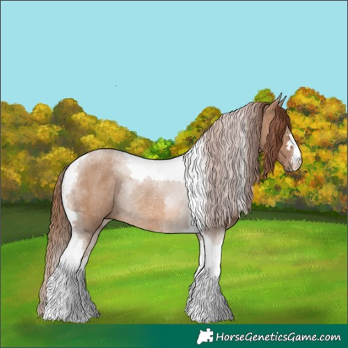 Horse Color:Red Dun Tobiano Rabicano