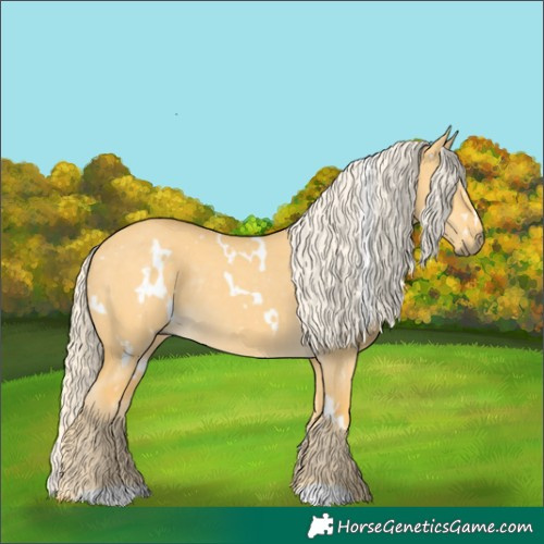Horse Color:White Spotted Palomino Dun Rabicano 