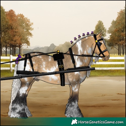 Horse Color:White Spotted Silver Buckskin Dun Rabicano 