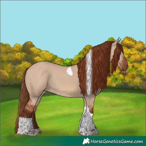 Horse Color:Red Dun Tobiano Rabicano 