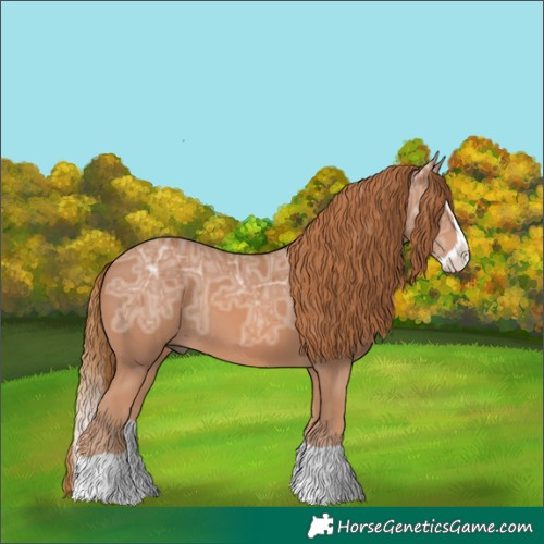 Horse Color:Chestnut Ice Splash Rabicano 