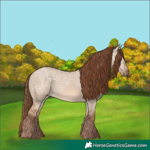 Horse Color:Red Dun Ice Rabicano