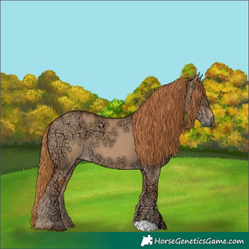 Horse Color:Red Dun Ice