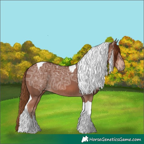 Horse Color:Chestnut Ice Tobiano Rabicano