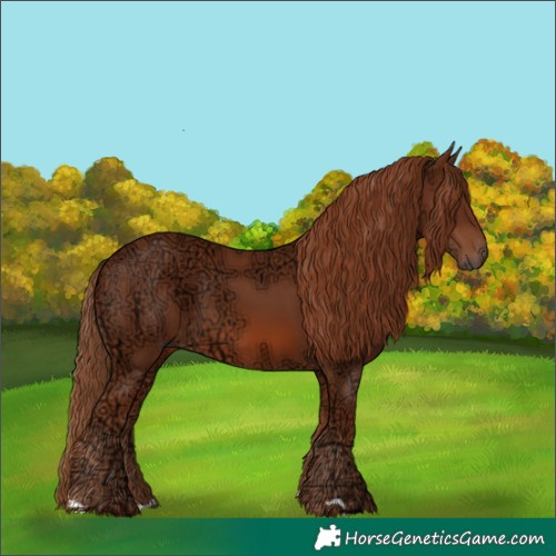 Horse Color:Chestnut Ice Rabicano 