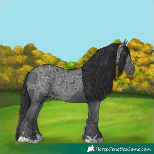 Horse Color:Black Ice 