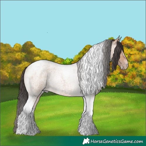 Horse Color:Bay Roan Dun Tobiano Rabicano 