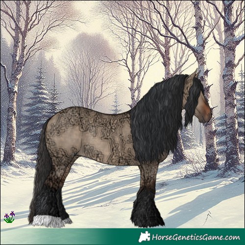 Horse Color:Brown Ice Dun Rabicano 