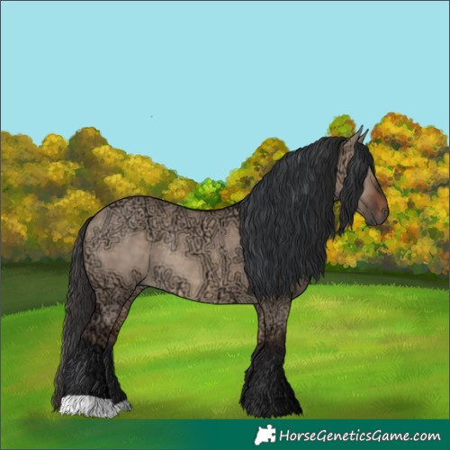 Horse Color:Brown Ice Dun Rabicano 