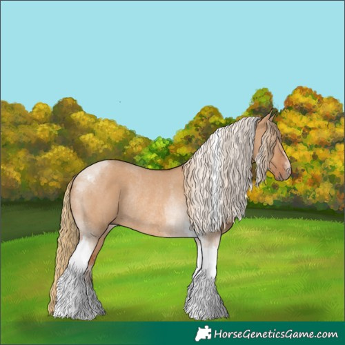 Horse Color:Red Dun Tobiano Rabicano 