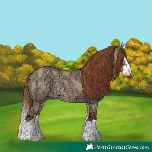 Horse Color:Red Dun Ice Splash Rabicano 