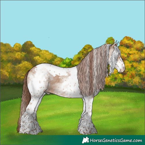 Horse Color:White Spotted Red Dun Tobiano Rabicano 